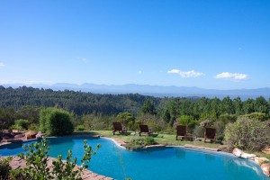 Fynbos Ridge in Plett