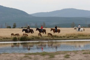 Plett Game Reserve - horseback horse safari in Plettenberg Bay