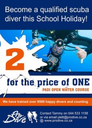 pro dive two for one special flyer