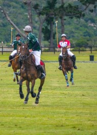 Line of the ball – an imaginary line along which the ball travels once it has been struck.