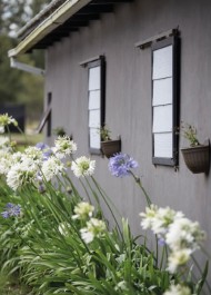Wines of Redford Lane in Plett