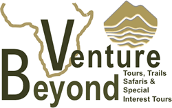 venture-beyond-logo-250