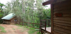 ingwe accommodation plett