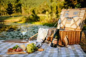 Plettenberg Bay has become known for its food and wine festivals over the past few years, including its annual Wine & Bubbly Festival (photographed), and in April it will become home to the first Truck & Vine Festival at Redford Lane Wines.