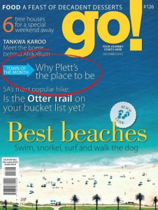 plett-in-go-mag