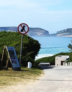 No dogs allowed on Robberg 5 Beach in Plett, and other beaches