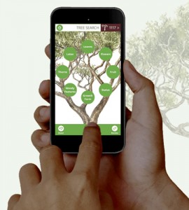 the-tree-app