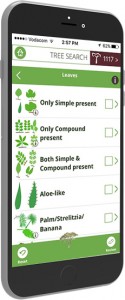 thetreeapp-mobile-phone