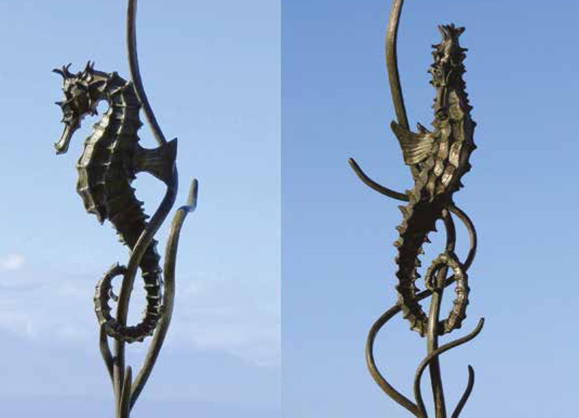 Seahorse in bronze by Malcolm Solomon