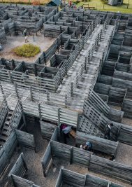 A-maze-ing Fun at Plett Puzzle Park