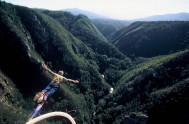 Bungy jumping in Plettenberg Bay