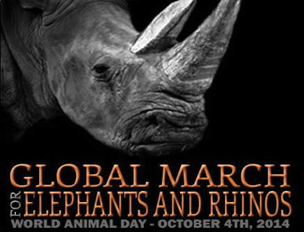 global-march-elephants-rhinos