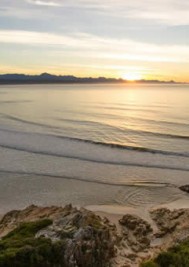 Newsletter #81 | Celebrities attending the Plett Food Film Festival