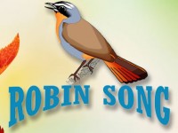 Robin Song