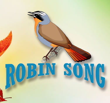 Robin Song