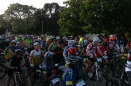 tour de plett