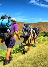 Tips for exploring Garden Route National Park