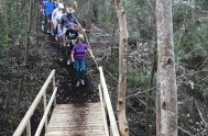 The bridge on the Harkerville parkrun, which Plett Tourism contributed towards