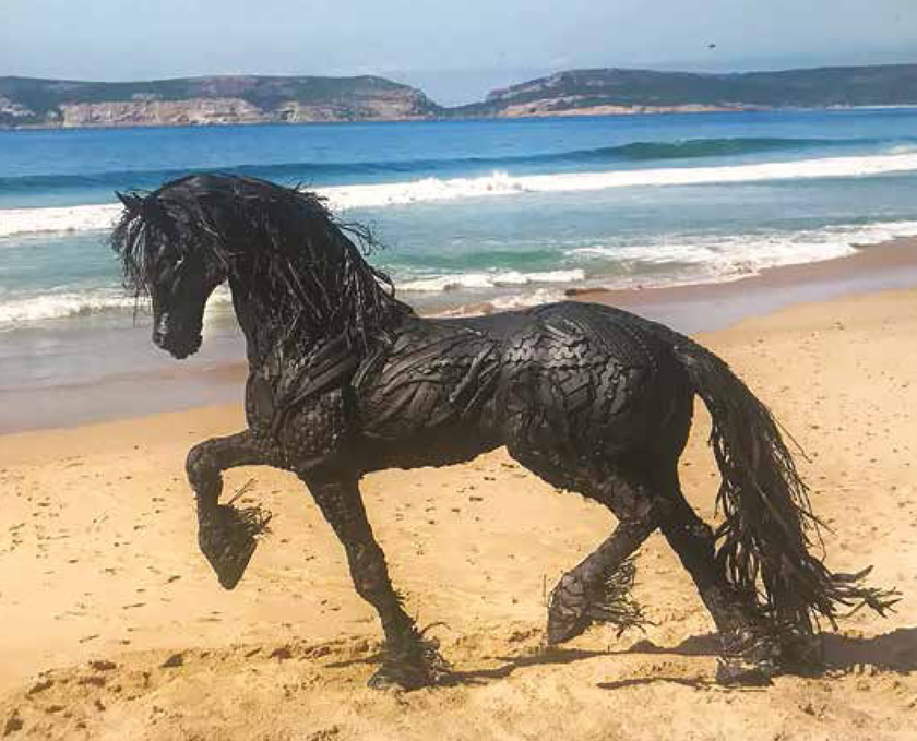 Horse by Robbert Leggat