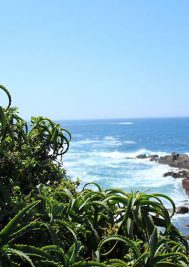 Free entry to Plett’s National Parks in November