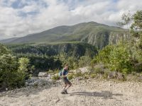 Tsitsikamma Ultra Trail Run 2020