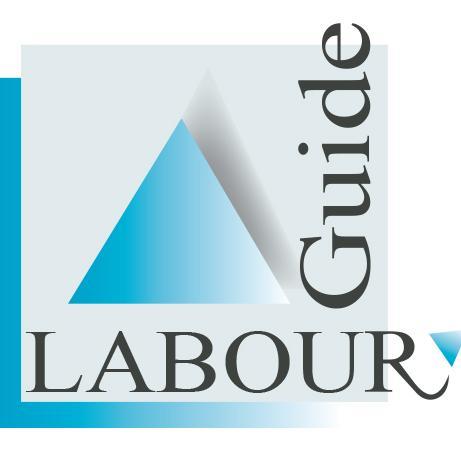 labour guide