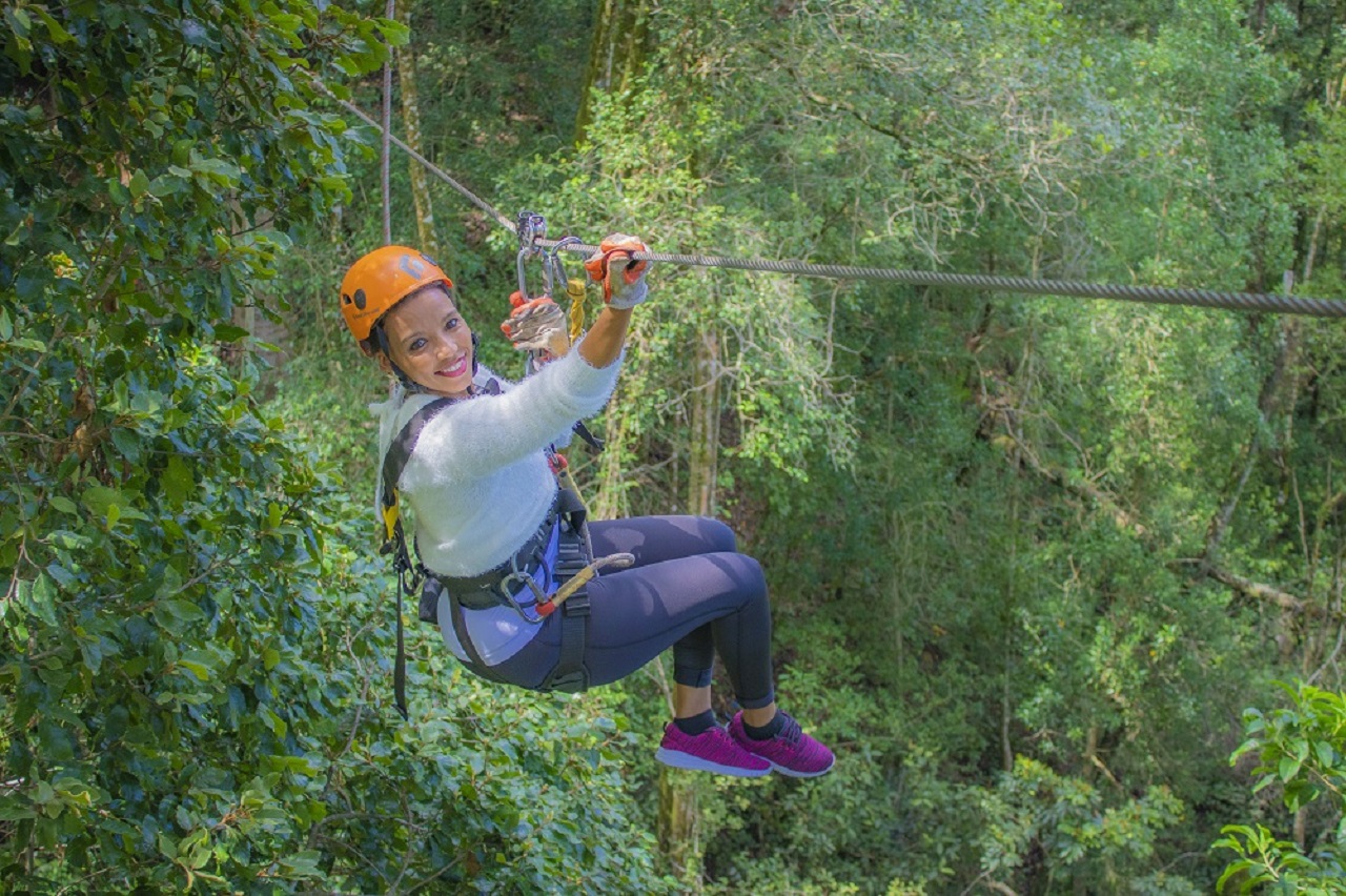 50% OFF canopy tour for kids under 18