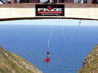 Spring Special Bungy