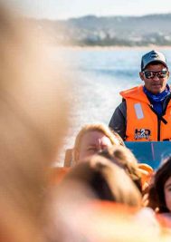 Ocean Safaris: The oceanic offering and the man