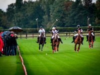 Polo, Passion and a Plett Summer Feeling