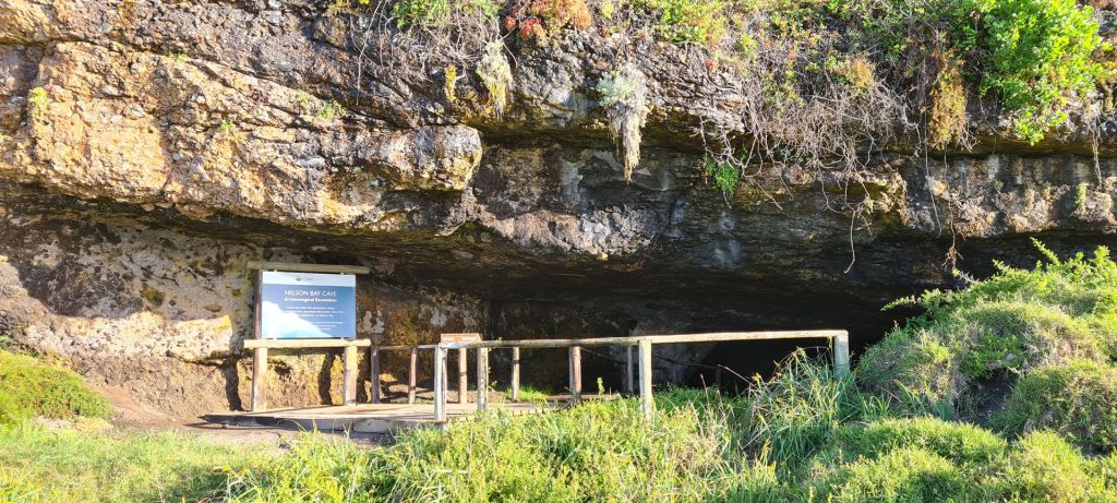 Nelson Bay Cave is part of The Cradle of Human Culture coastal route