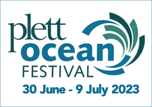 Plett-Ocean-Festival