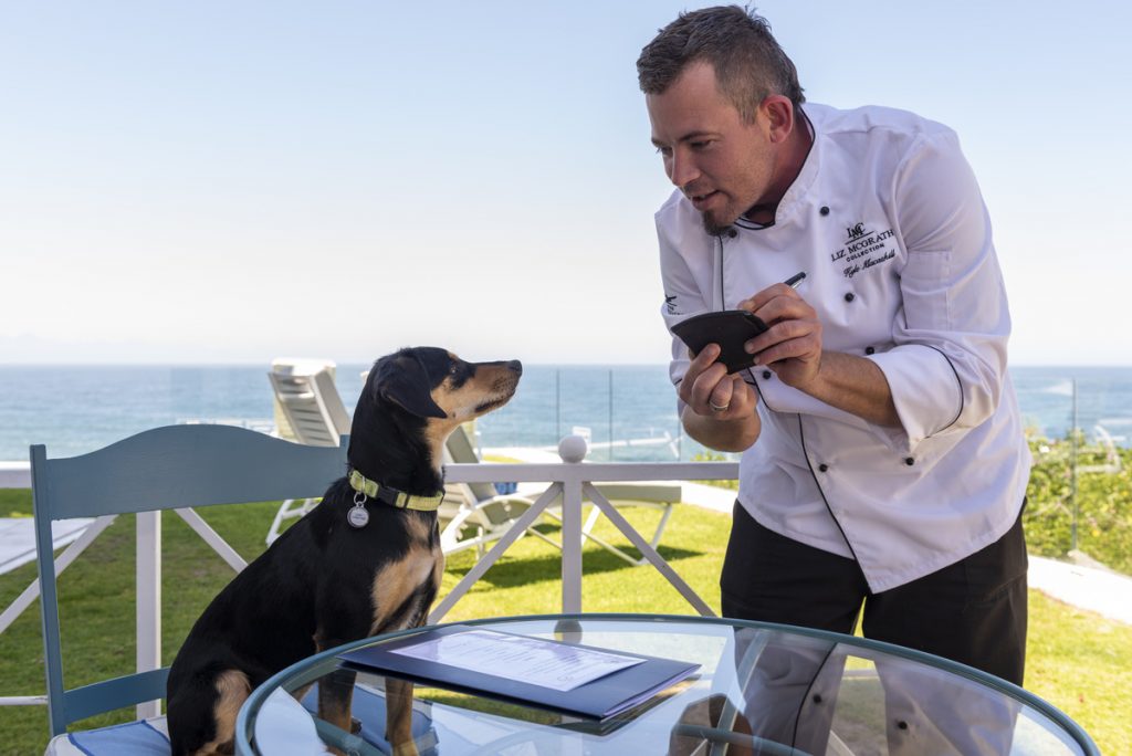 Dogs menu at The Plettenberg Pet-Friendly Hotel Dogs menu at The Plettenberg Pet-Friendly Hotel