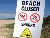 NSRI confirms beaches closed