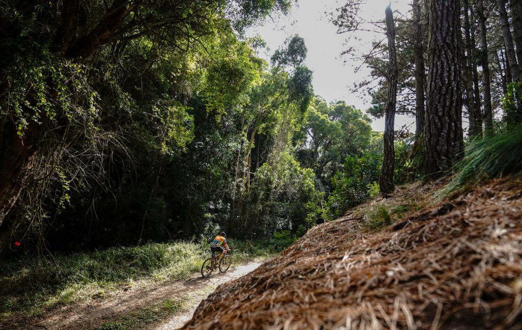 Deep indigenous forests in the Tsitsikamma National Park provide for one of the event’s unique riding experiences. Photo by Zane Schmahl.