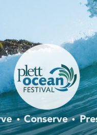 Plett Ocean Festival NOW ON!