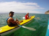Dolphin Adventures Sea Kayaking