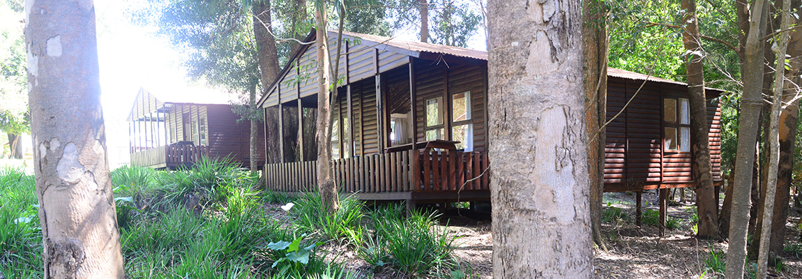 plett forest cabins