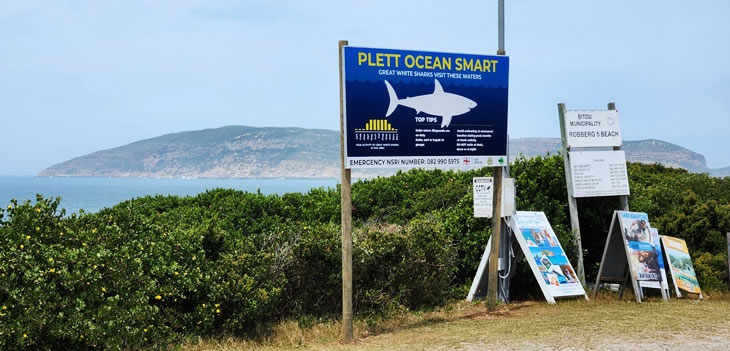 Plett Ocean Smart sign with shark safety information