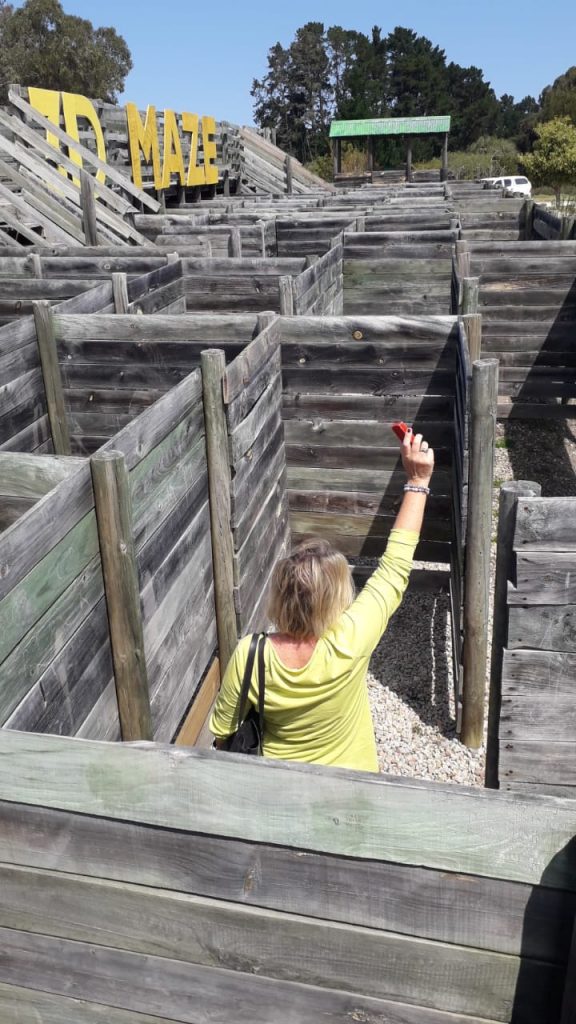 Lost in the maze