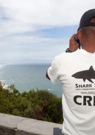 Shark spotters wanted for summer season in Plett