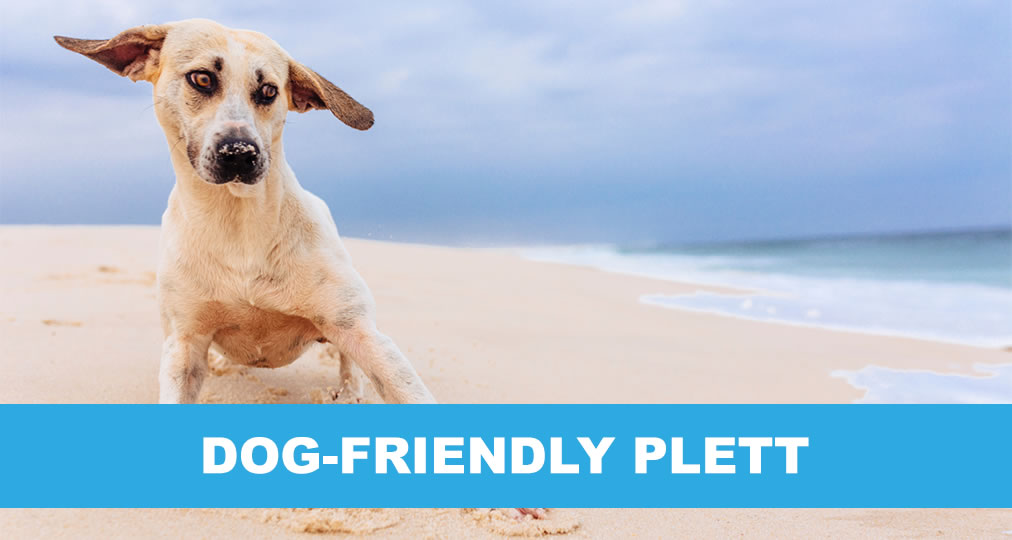 Dog-Friendly Beaches in Plett