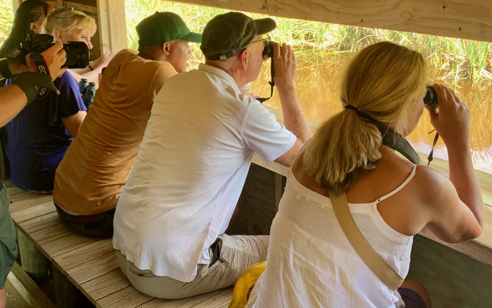 Bird Watching at Kwendalo