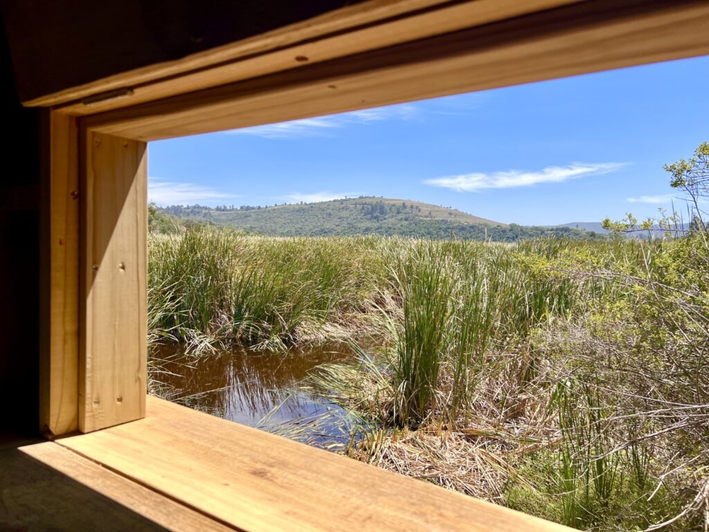 Views from the Kwendalo Bird Hide ideal for birding in Plett Views from the Kwendalo Bird Hide ideal for birding in Plett