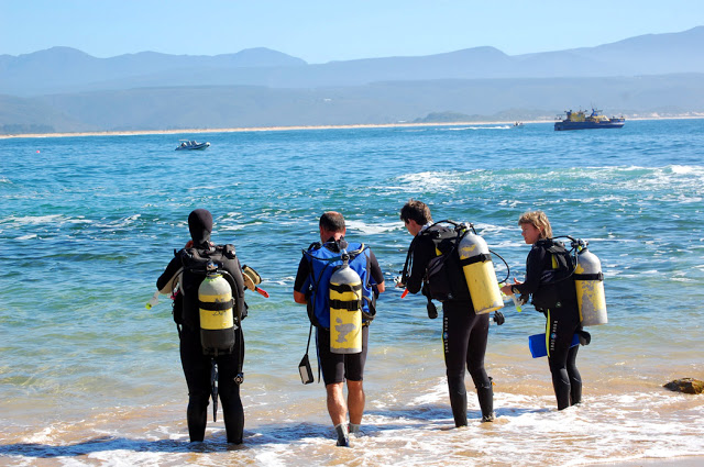 Pro Dive Plett scuba diving