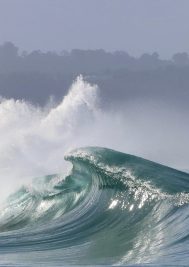 Plan your adventure during Plett Ocean Festival