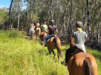 Maple Ranch Horse Trails