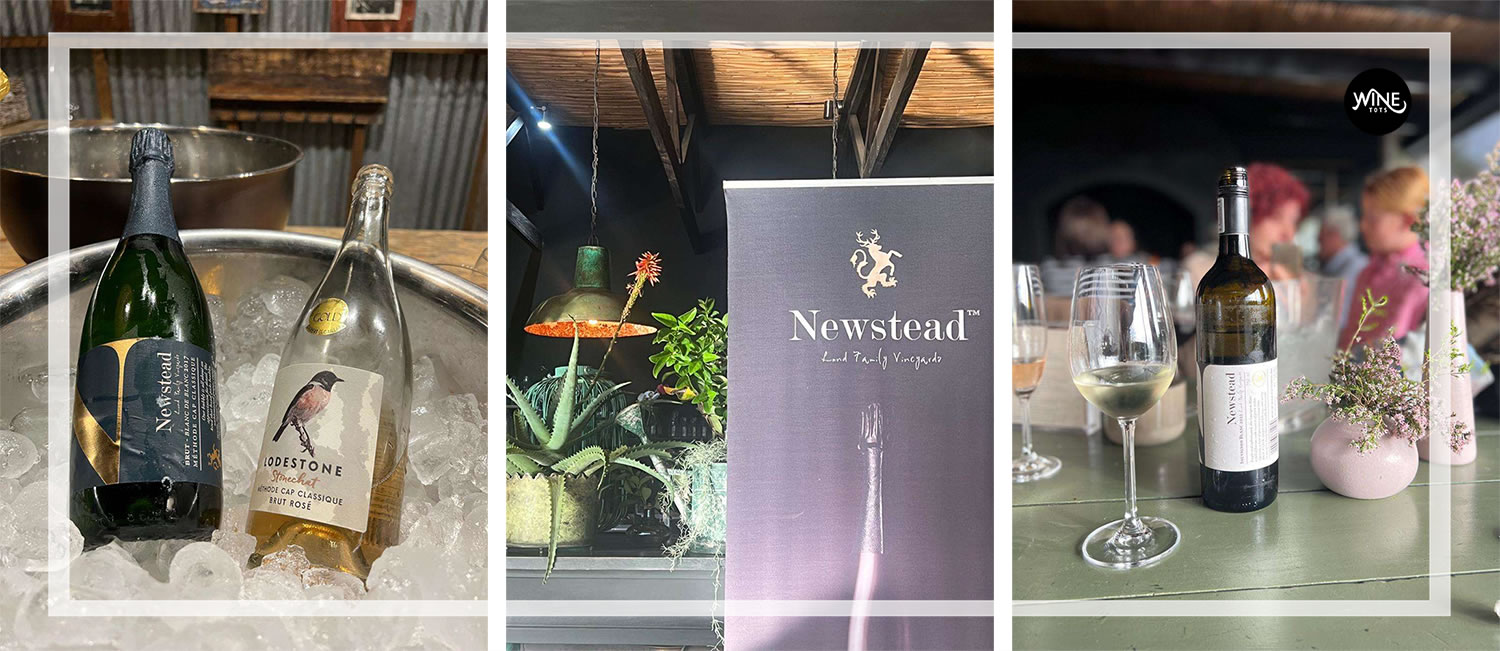 WineTots at Newstead