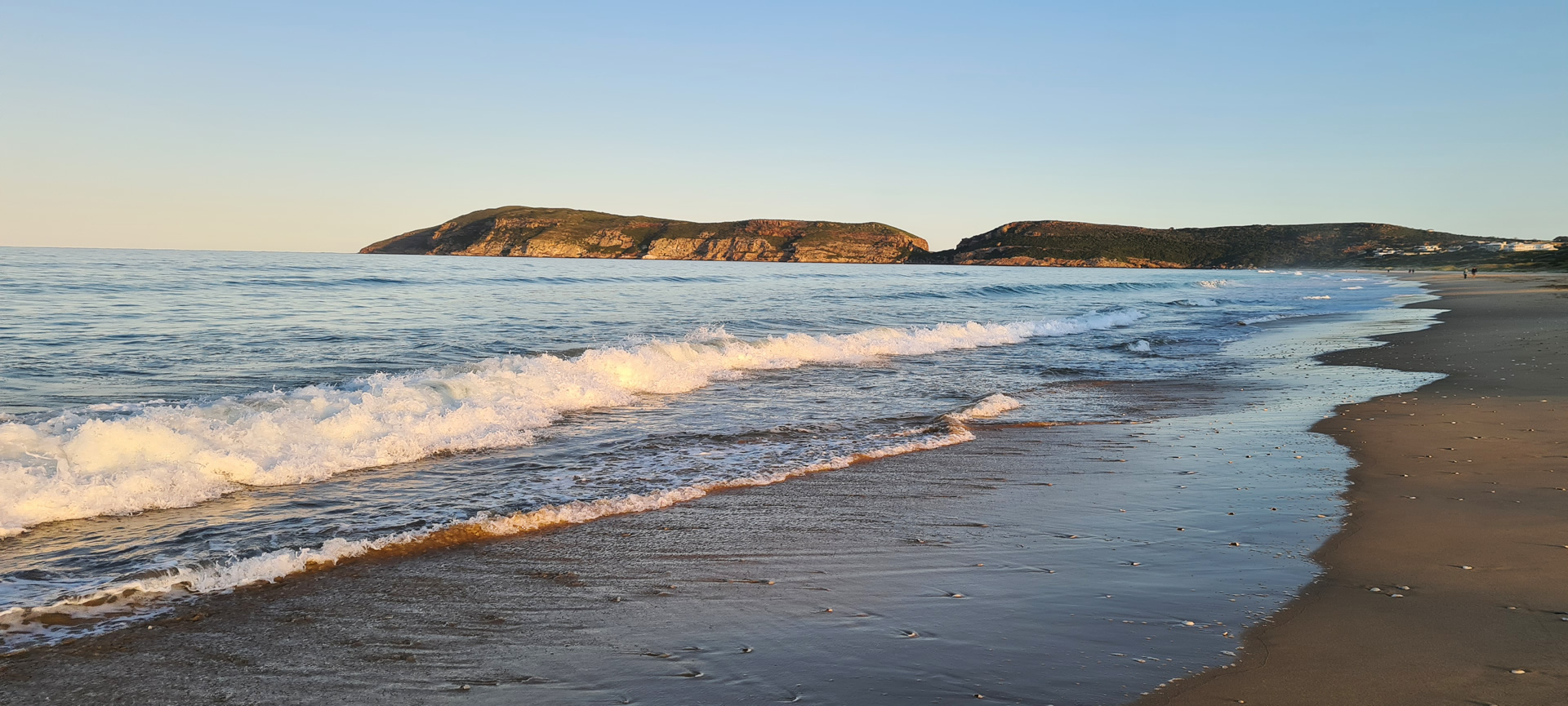 a rabies outbreak means dogs must be leashed on Plett beaches