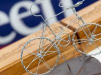 SEEFF Tour de Plett 2025